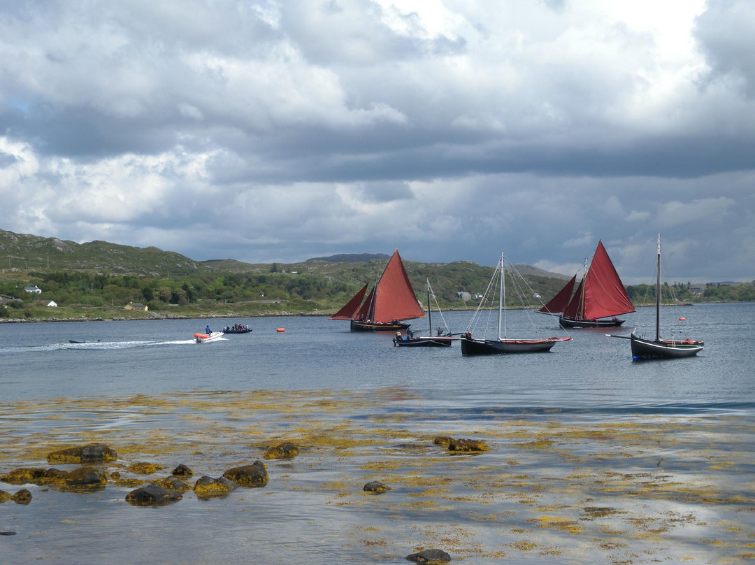 Wild Atlantic Adventures Ltd. - Day Tours景点图片