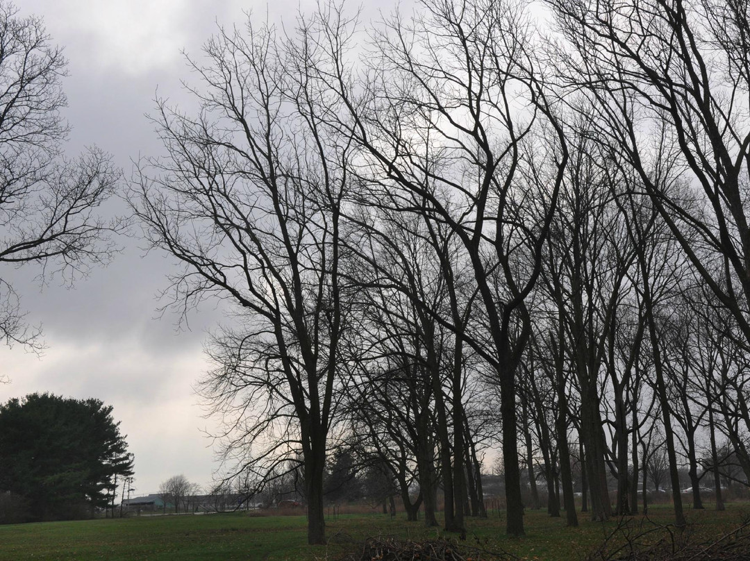 University of Illinois Arboretum-厄巴纳必去景点