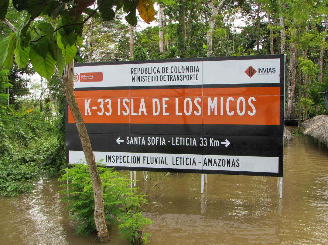 Isla de Los Micos景点图片