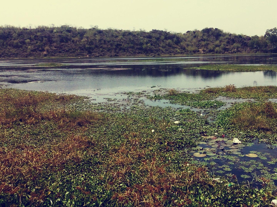 Sangram Sagar Lake景点图片