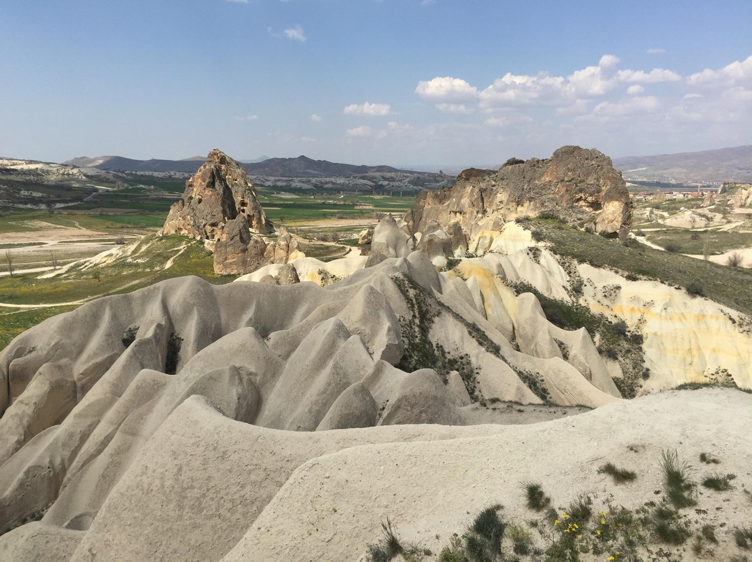 Honey Valley
