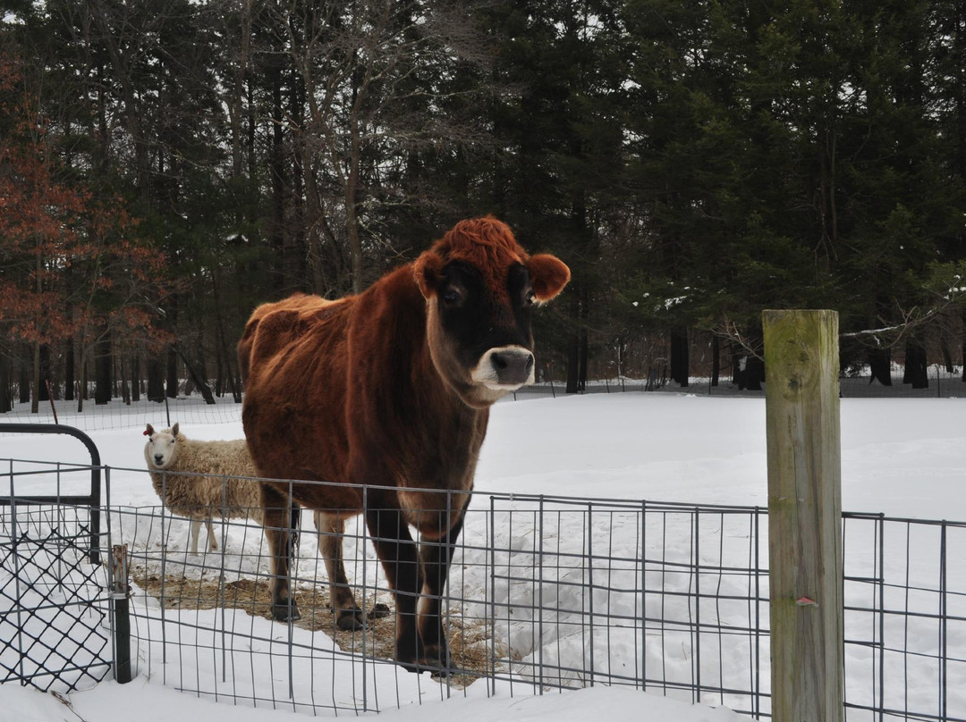 Natural Resources Trust of Easton-North Easton必去景点