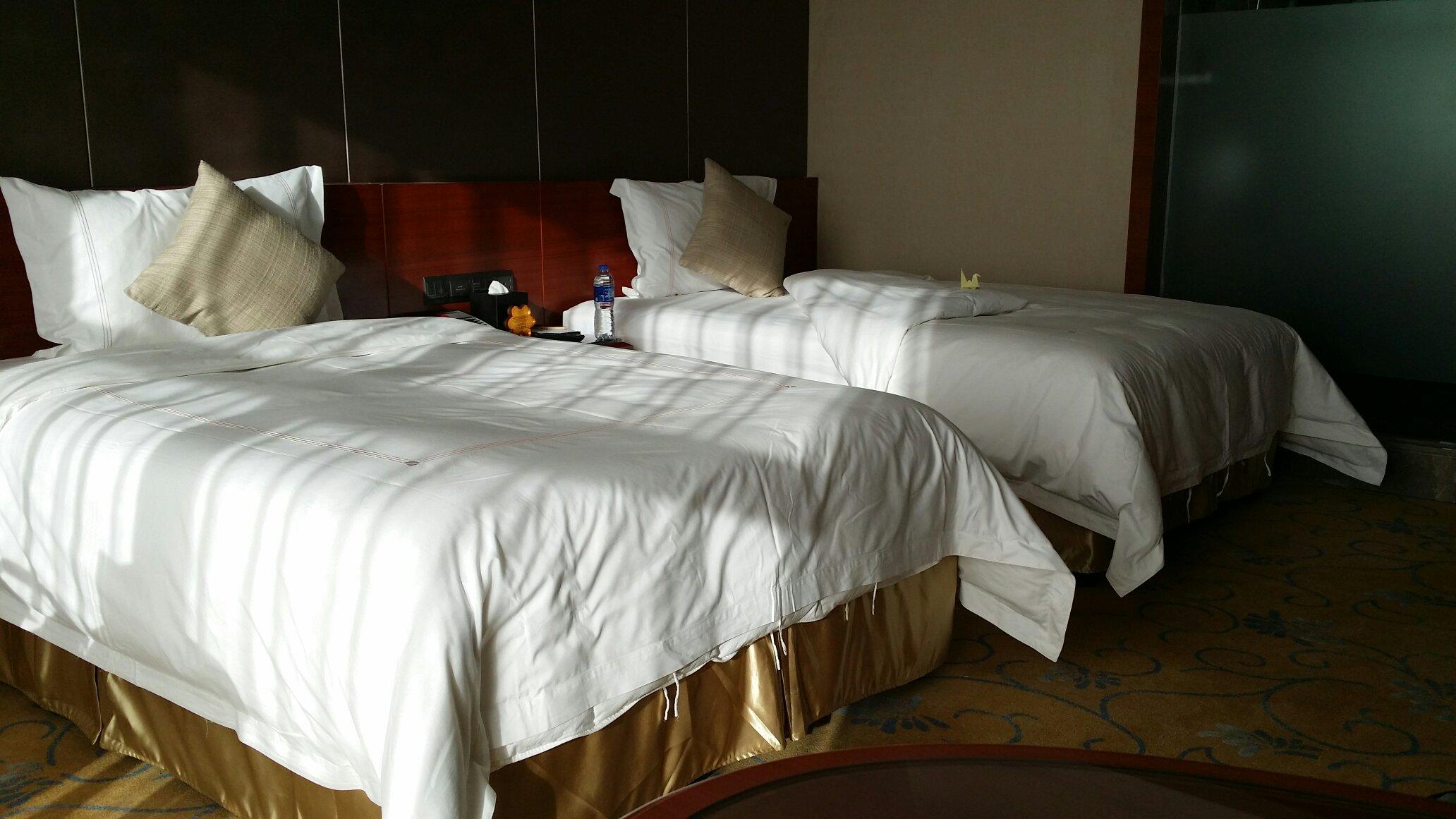 格兰云天国际酒店-客卧