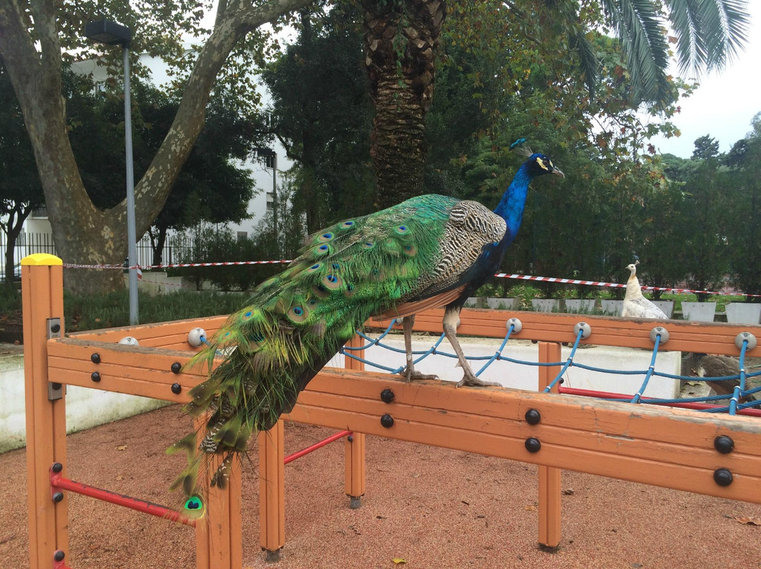 Jardim da Quinta da Alagoa-卡卡维卢斯必去景点