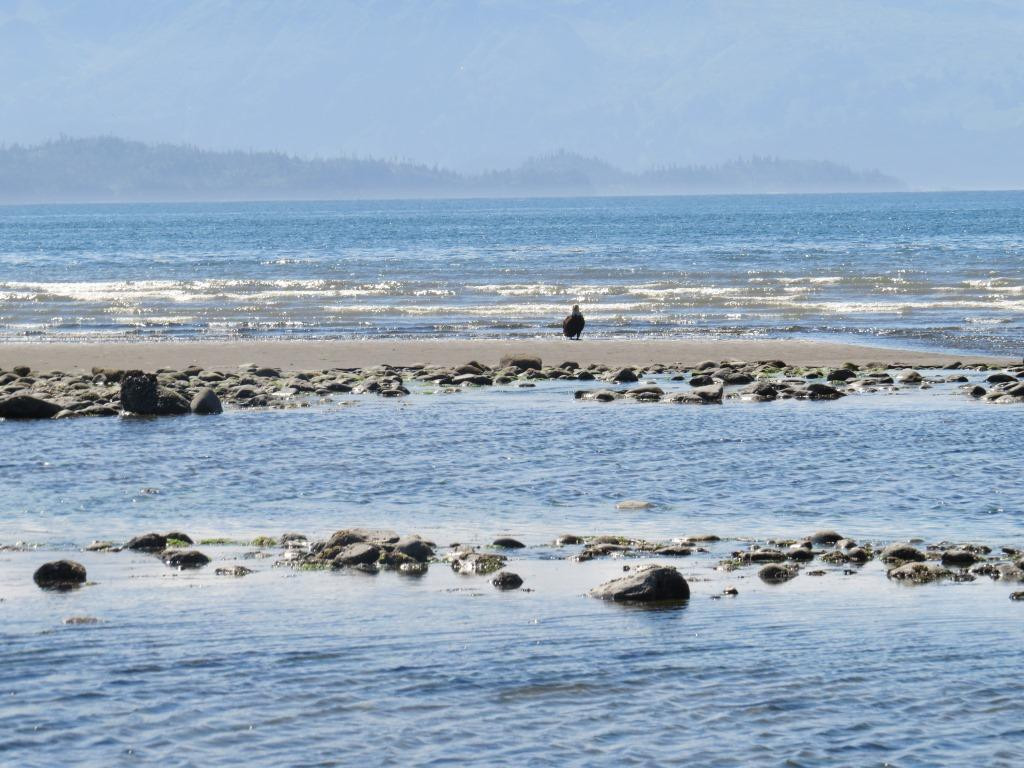 Bishop's Beach Park-荷马必去景点