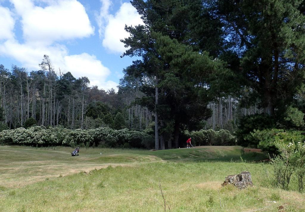 Tarraleah Golf Club-Tarraleah必去景点