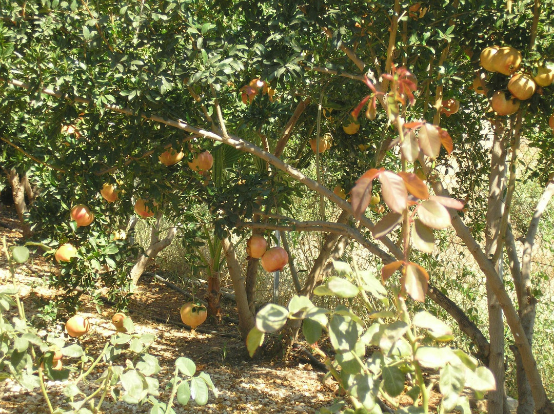 Amalthia Villas主图