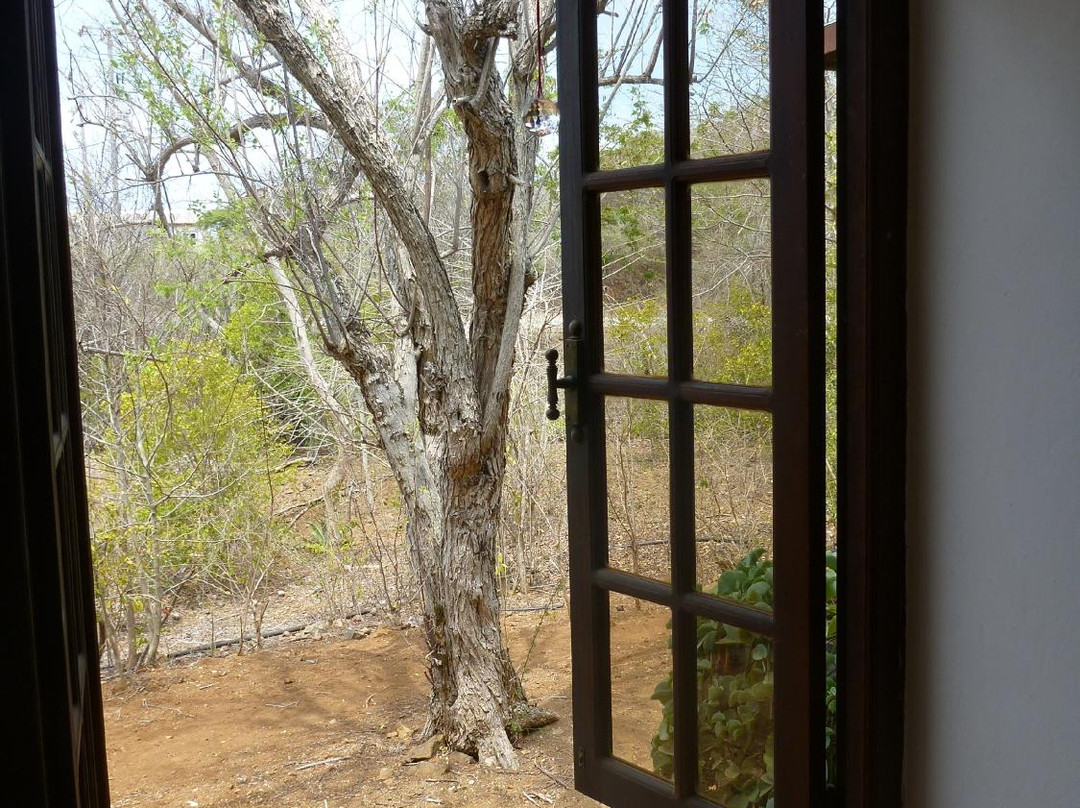 Evelien Sipkes Studio-威廉斯塔德必去景点