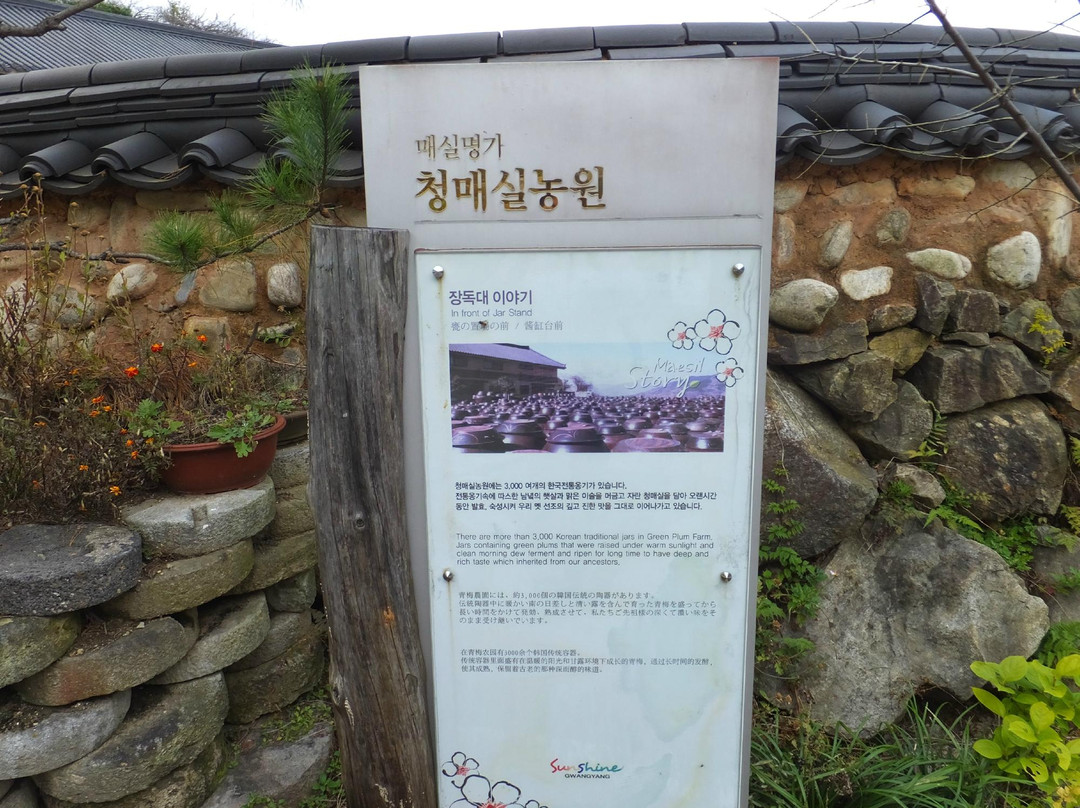 Gwangyang Maehwa Village-光阳市必去景点