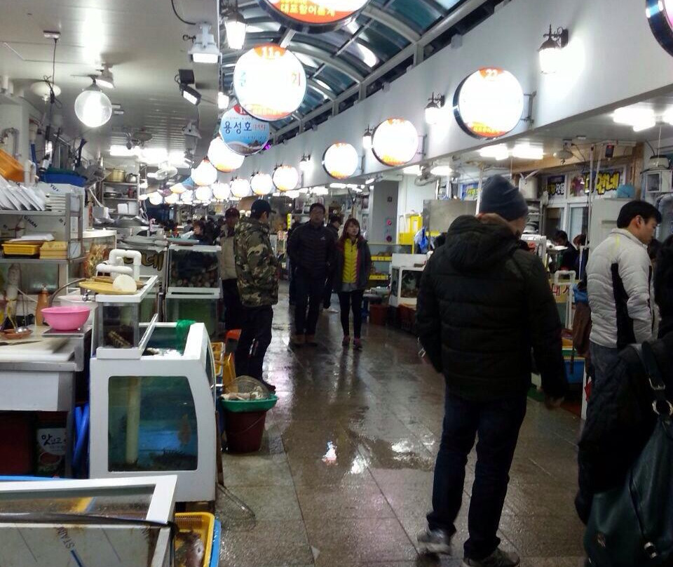 Daepo Port-束草市必去景点