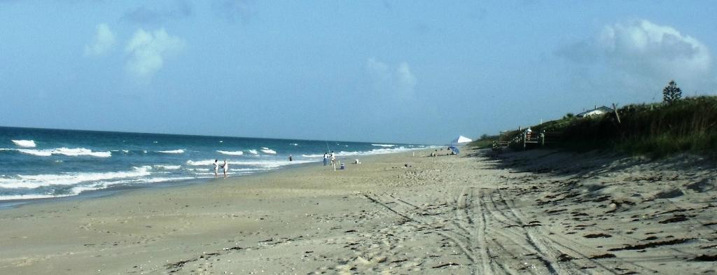 Barrier Island Center景点图片