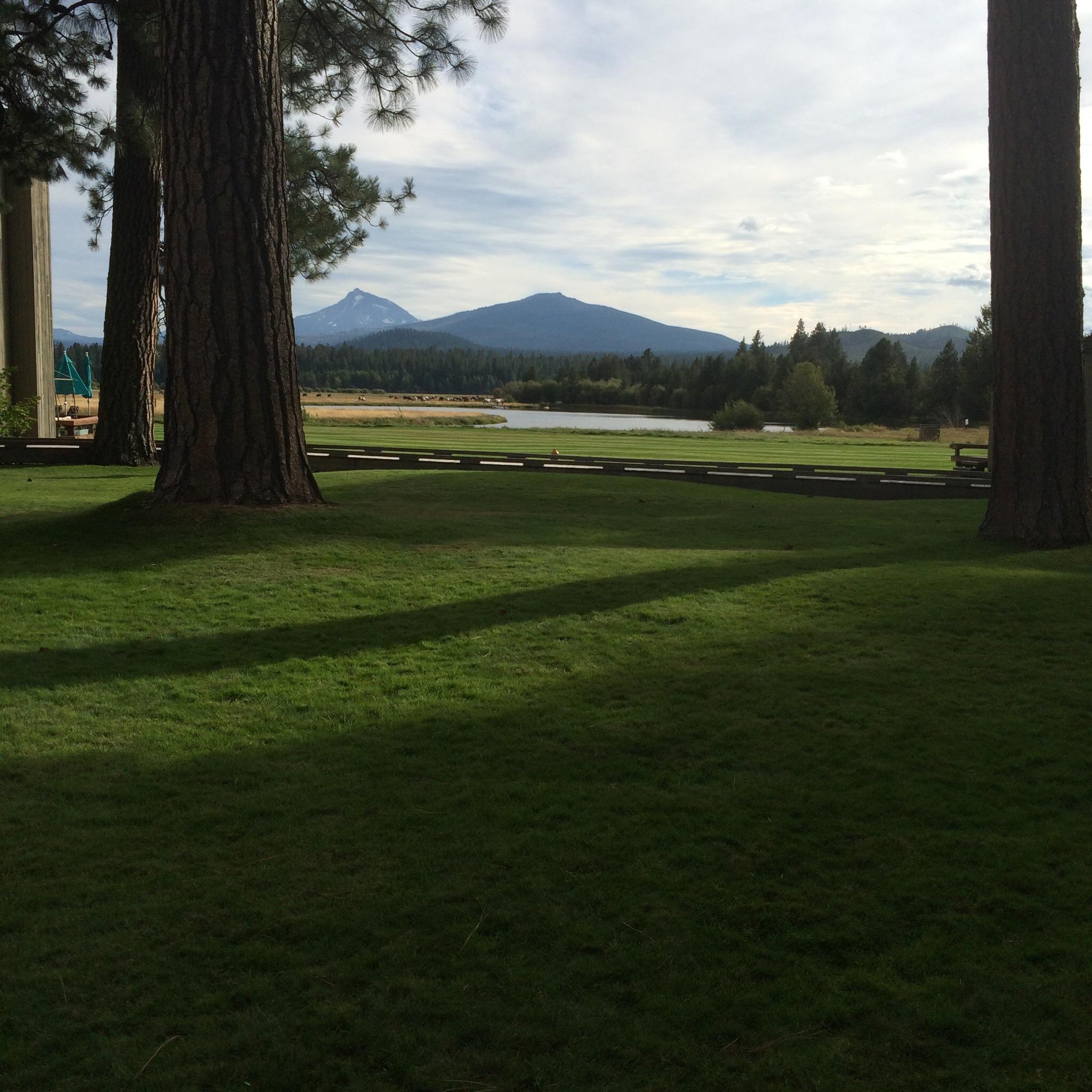 Black Butte Resort-酒店景观