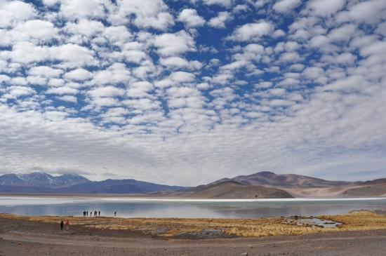 Parque Nacional Nevado Tres Cruces-Copiapo必去景点