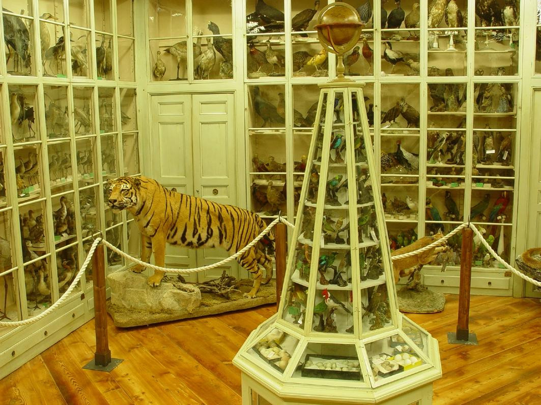 Museo Civico Craveri di Storia Naturale-Bra必去景点