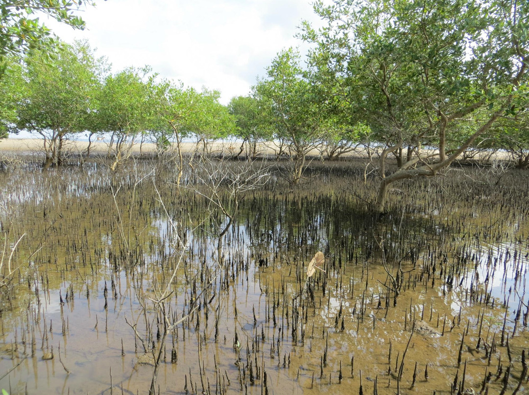 Xefina Pequena-马布多必去景点