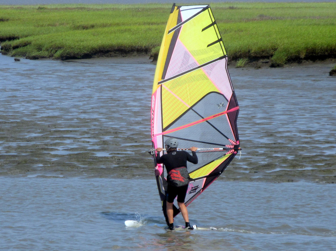 Lucy Evans Baylands Nature Interpretive Center-帕罗奥多必去景点