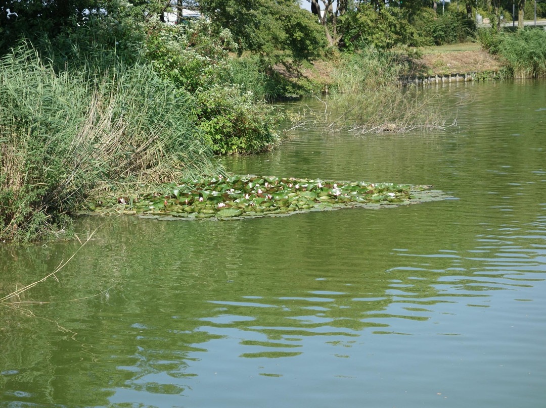 Kastrup Fort-凯斯楚普必去景点