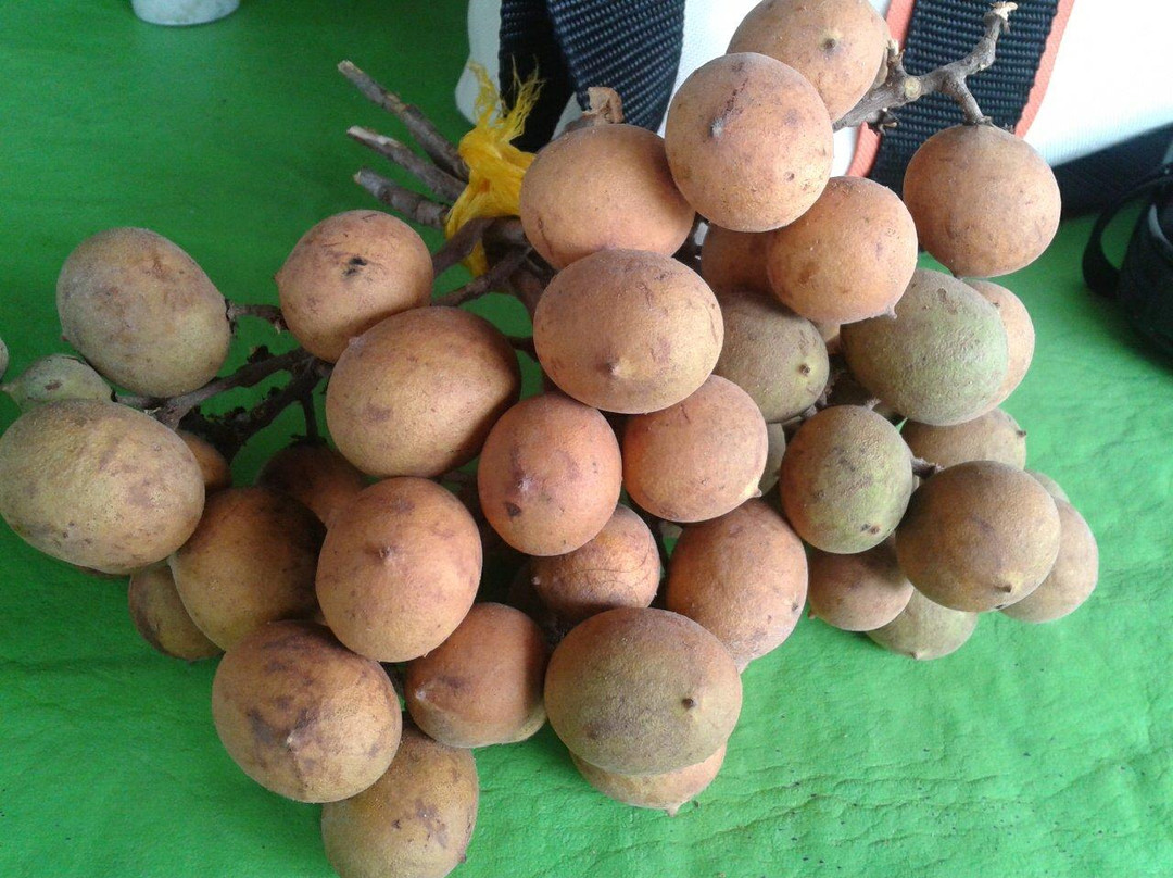 Foz do Rio São Francisco