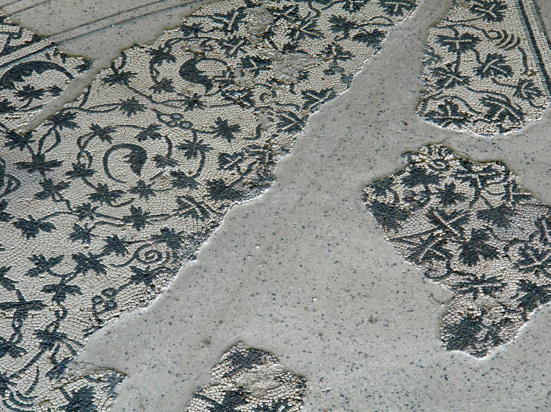 Musee de site Villa-Loupian景点图片