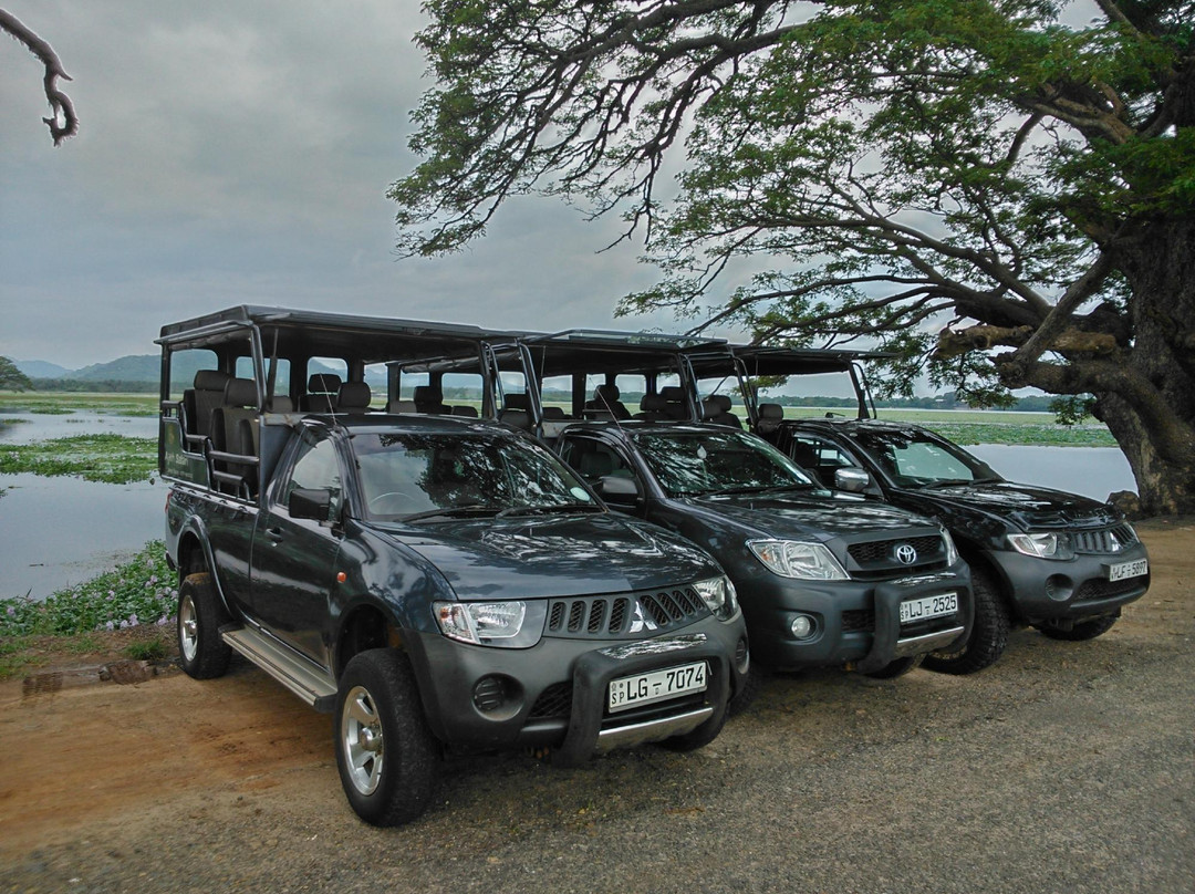 雅拉国家公园观赏野生动物-雅拉国家公园必去景点