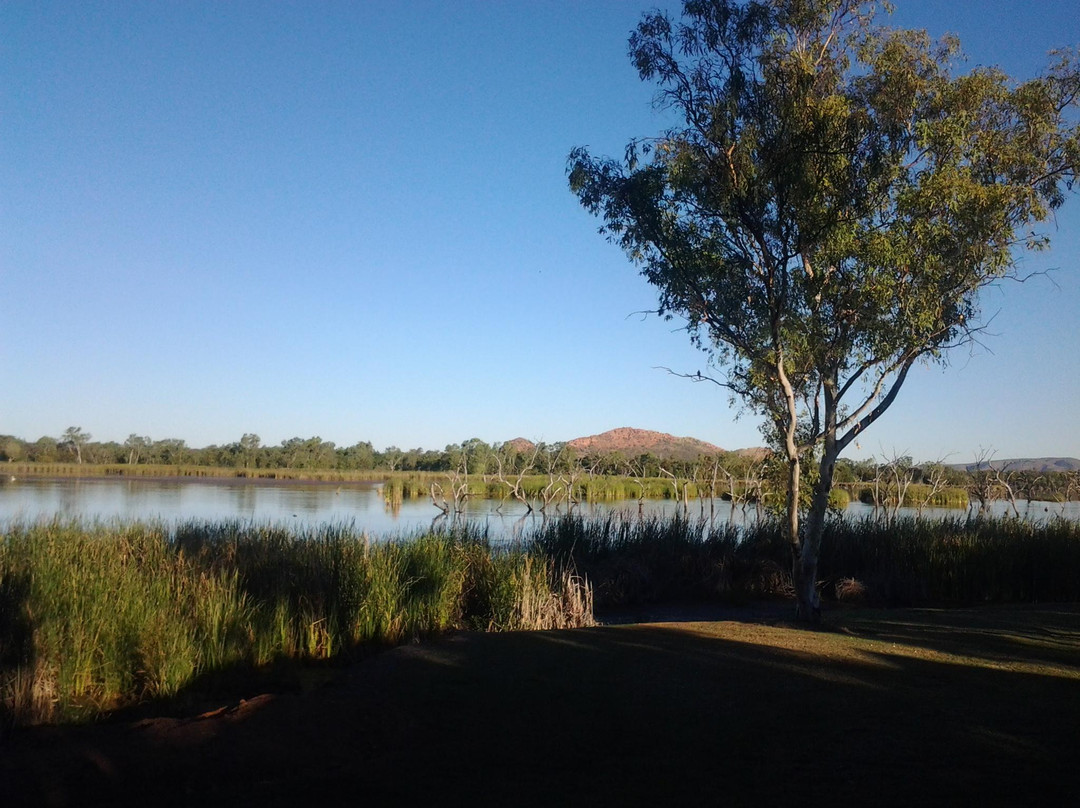 Kununurra Visitor Centre景点图片