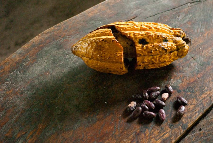 Comunidad Shiripuno-Tena必去景点