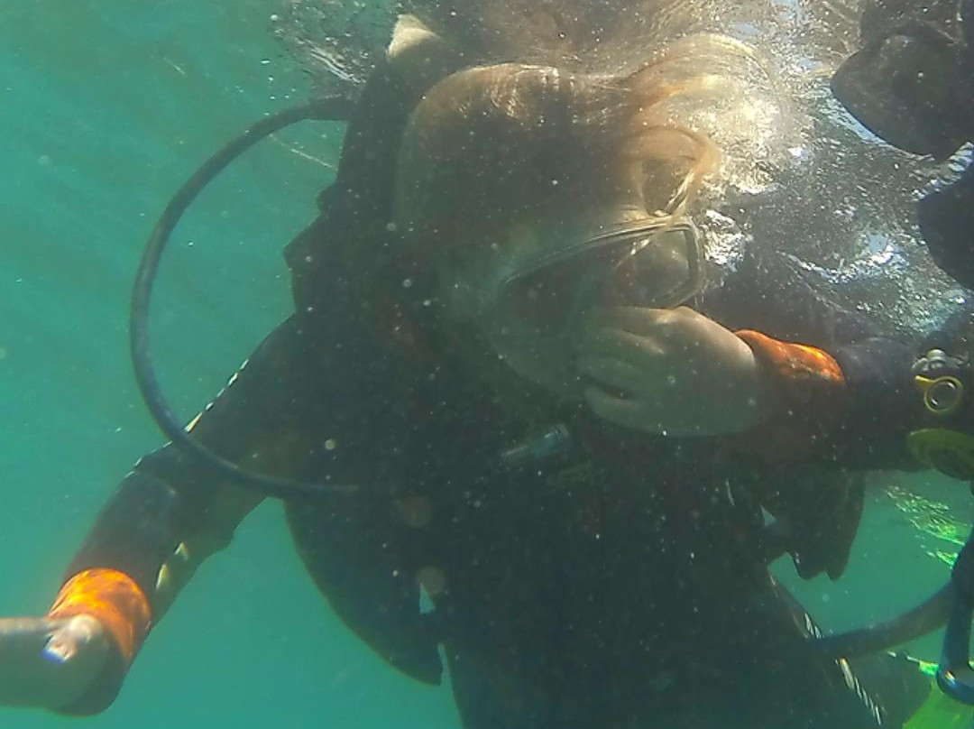 Blue Explorers Diving Centres-莫干港必去景点