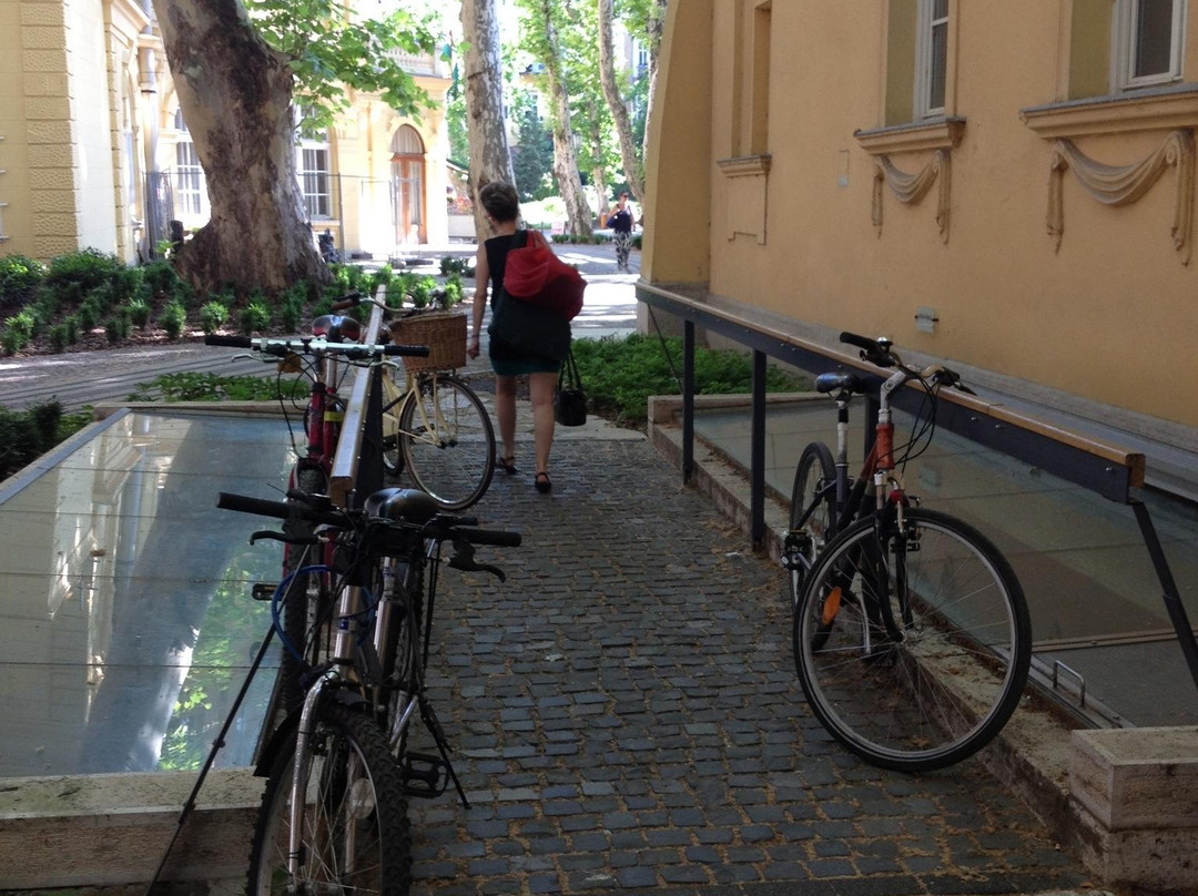 Lukacs Thermal Bath and Swimming Pool-布达佩斯必去景点