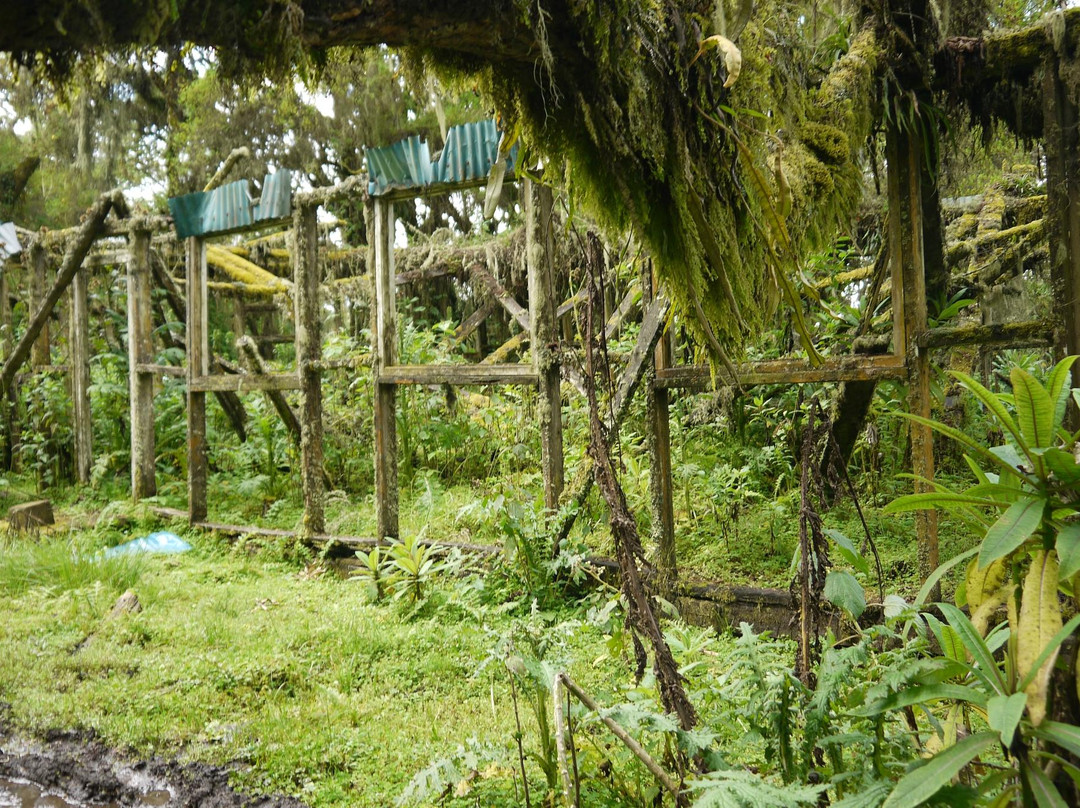 Karisoke Research Center - Dian Fossey Camp景点图片