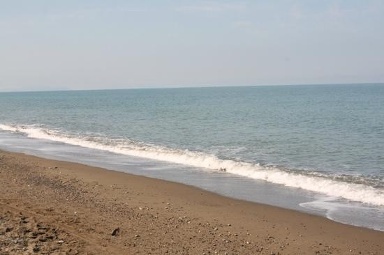 Bagno Cormorano-Marina di Bibbona必去景点