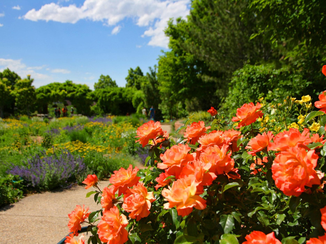 Red Butte Garden-盐湖城必去景点