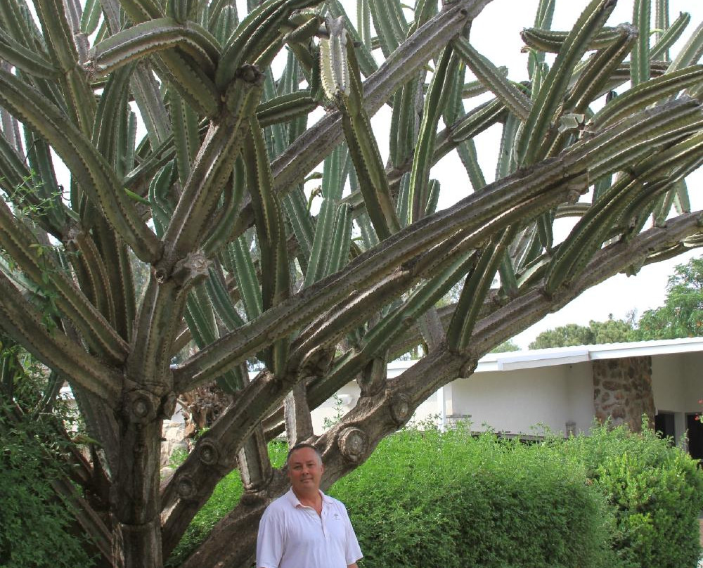 Vered Hagalil Guest Farm-加利利必去景点