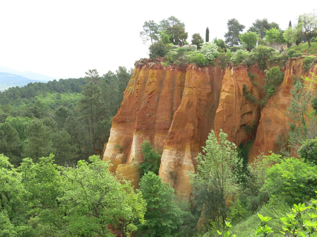 Taxi-Provence Tours-阿维尼翁必去景点