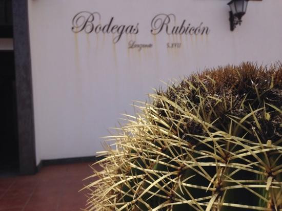 Bodegas Rubicon-Yaiza必去景点