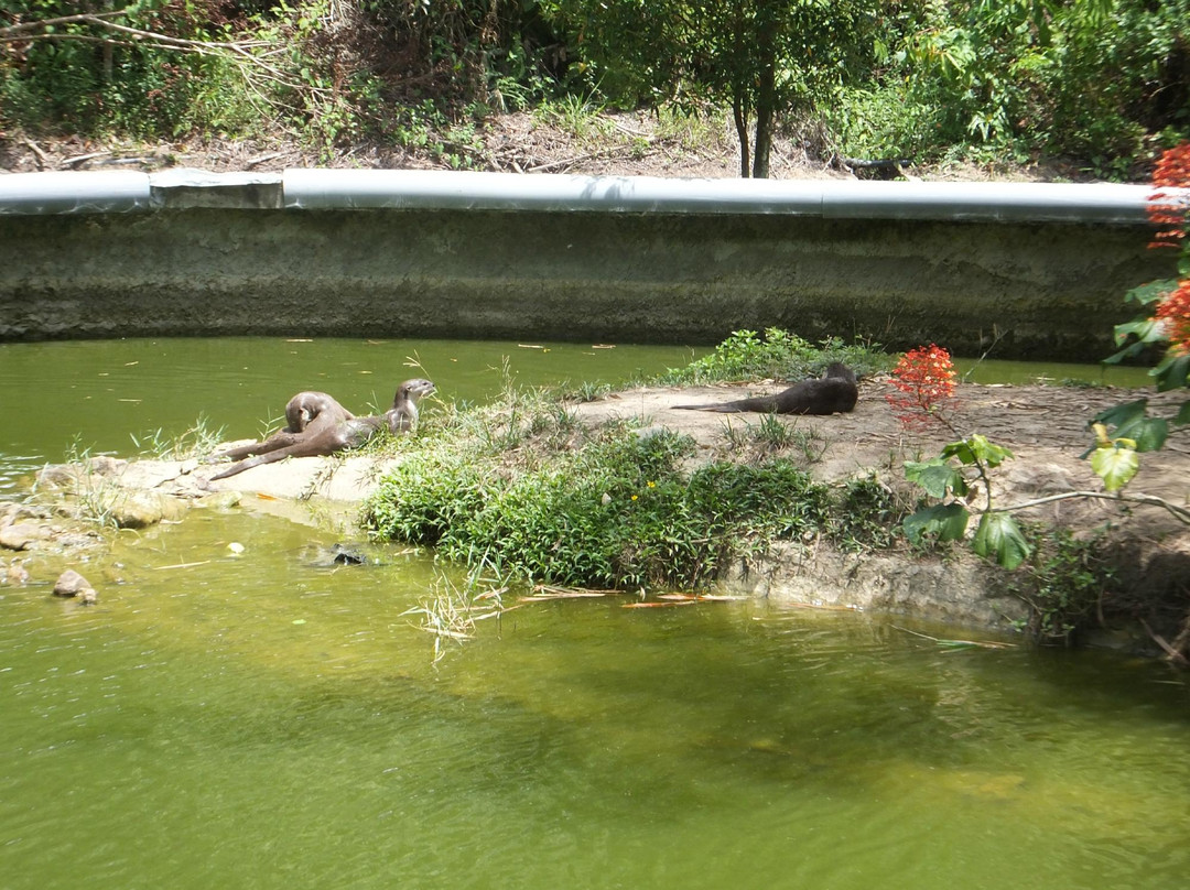 洛高宜野生动物园-兵南邦必去景点
