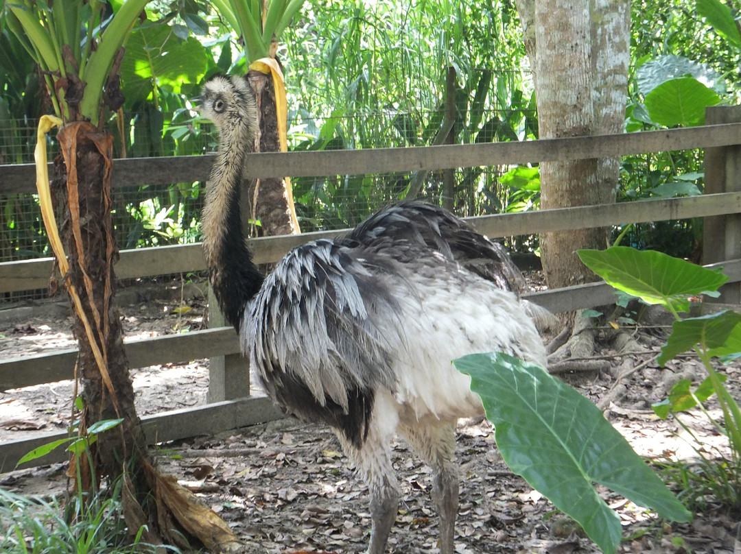 洛高宜野生动物园-兵南邦必去景点