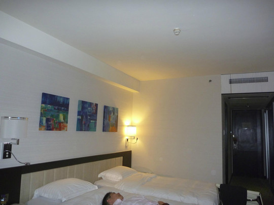 沙田丽豪酒店主图