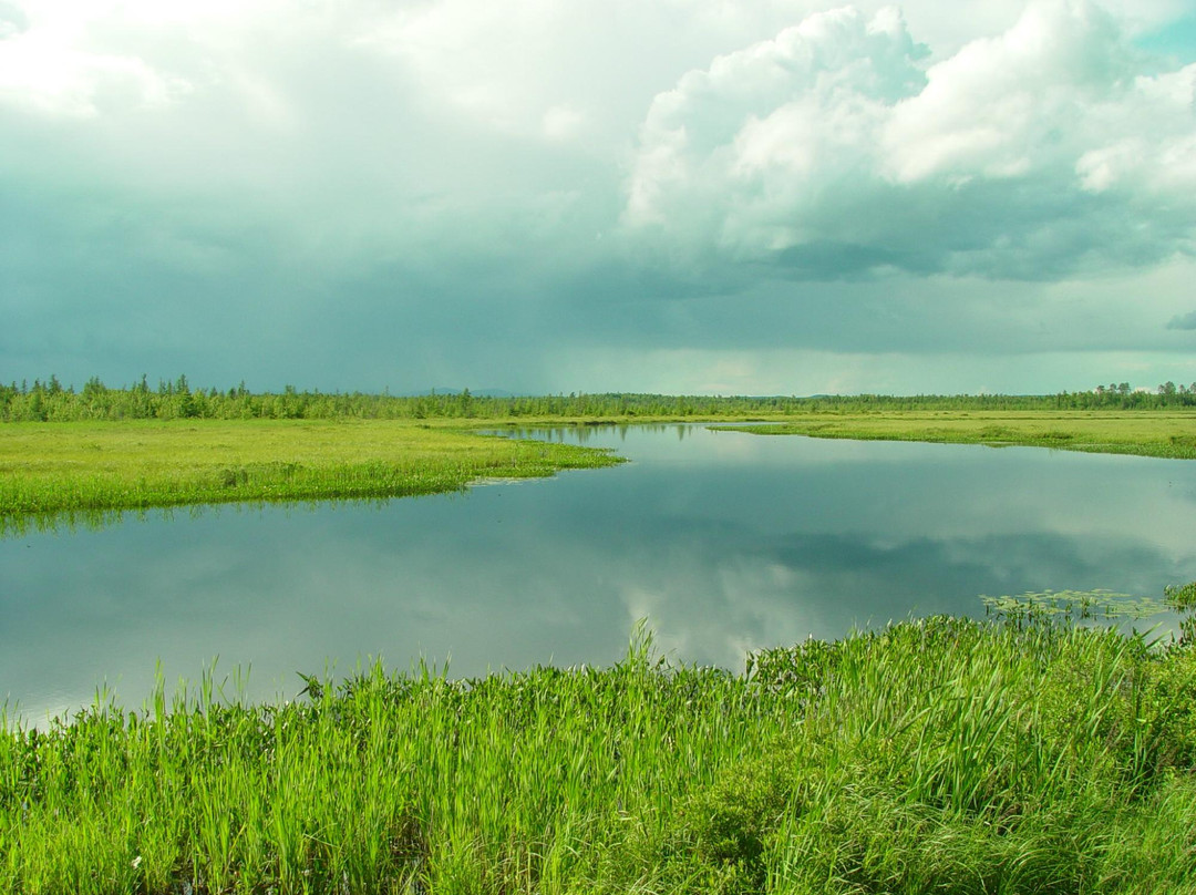 Downeast Lakes Land Trust-Grand Lake Stream必去景点