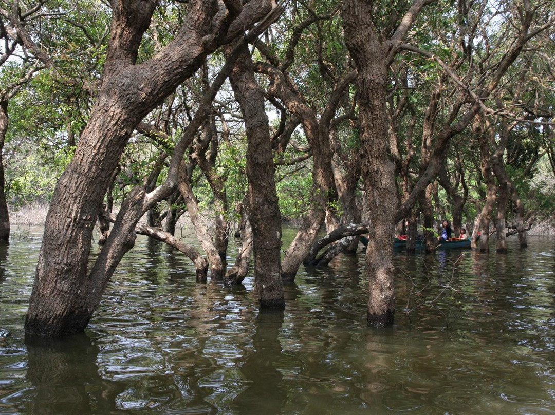 空邦鲁-暹粒必去景点