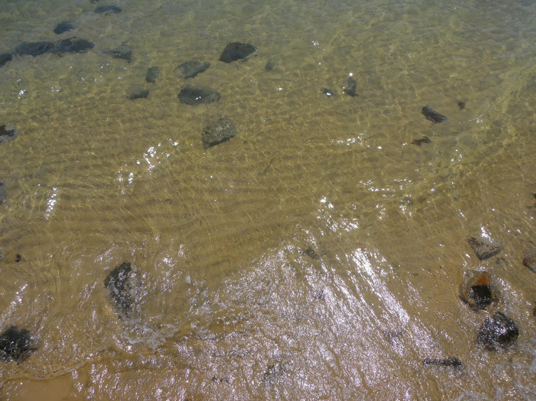 Pedras Miudas Beach-伊利亚贝拉必去景点