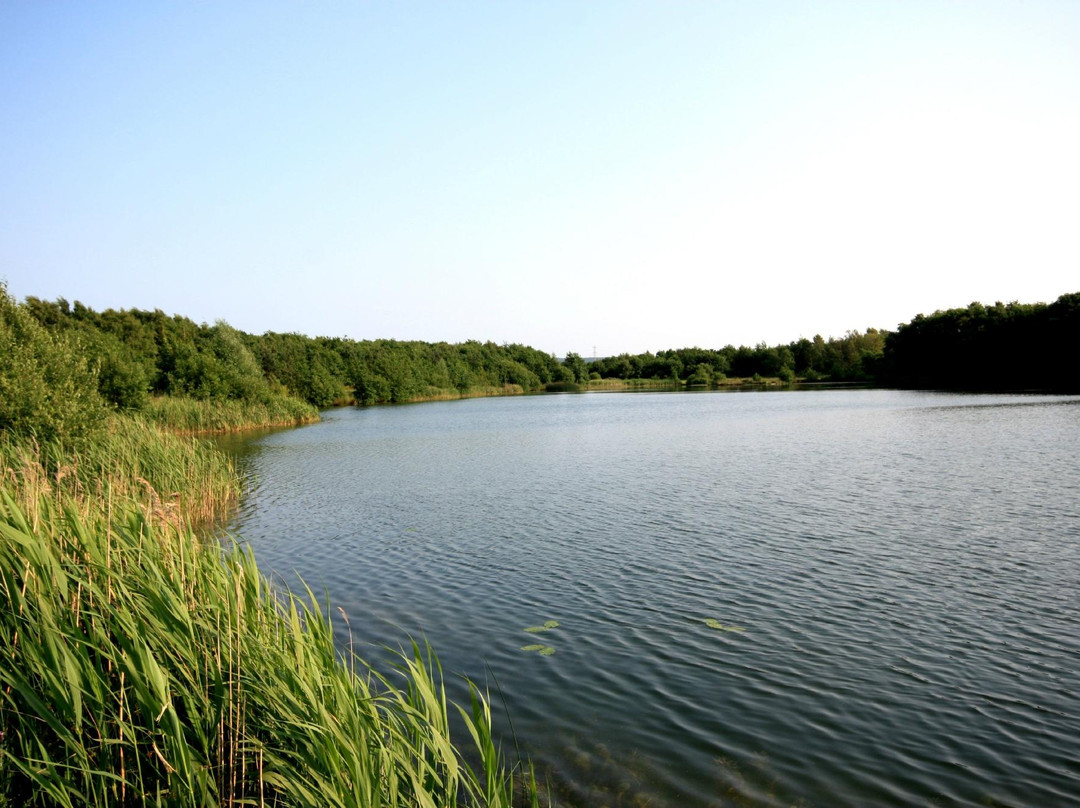 Wykeham Lakes Fishery景点图片