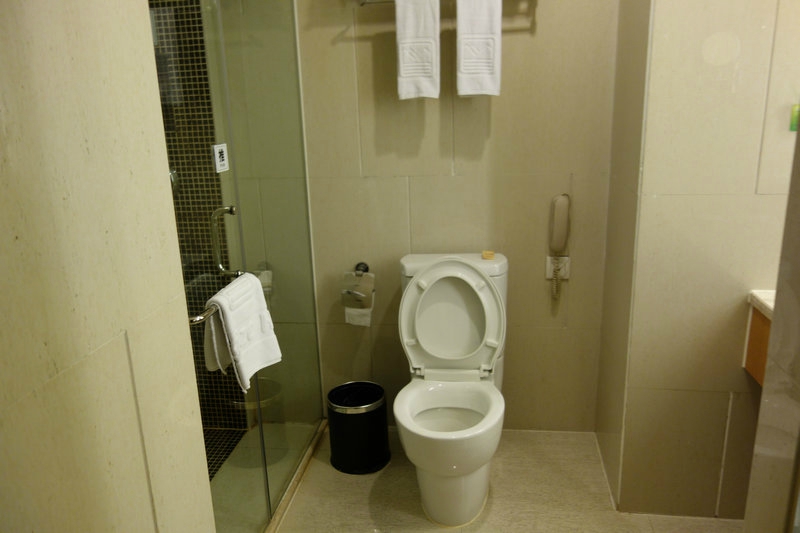 沌口长江大酒店-浴室