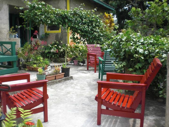 Buff Bay酒店住宿-Prince Valley Guest House