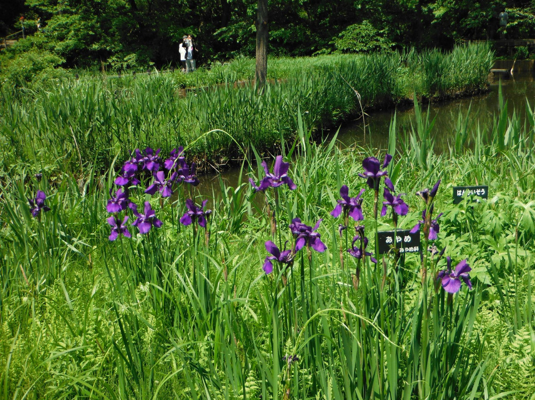 Institute of Nature Study-Shirokanedai必去景点
