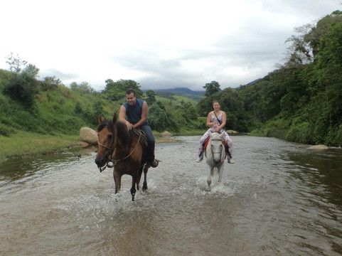 Raul Sampaio Horses4u-帕拉地必去景点