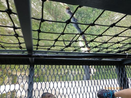 Bloukrans Bungy - Face Adrenalin-Tsitsikamma National Park必去景点