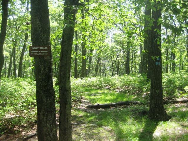 Lake Tiorati Beach - Harriman State Park景点图片