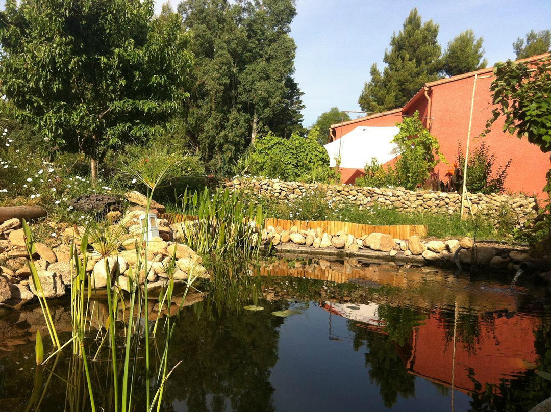 L'Olivette des Alberes主图