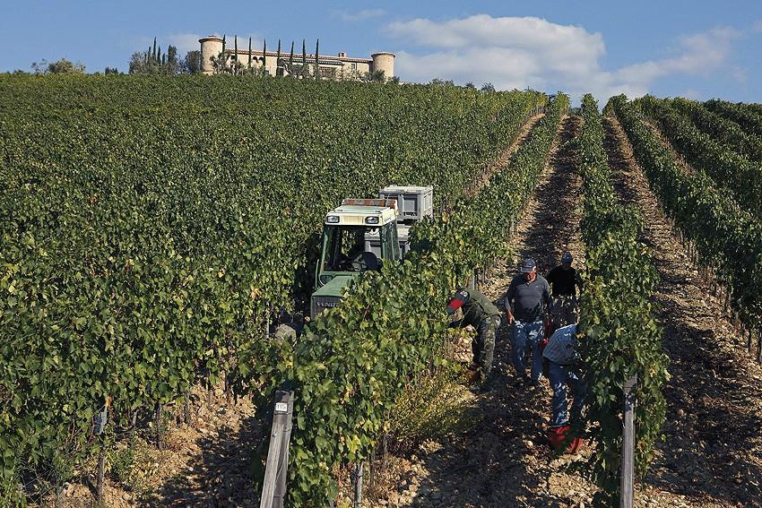 Maremma Wine and Company景点图片