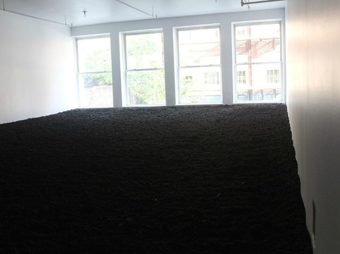 纽约土地室-纽约市必去景点